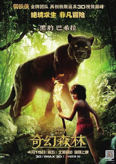 香港驾照哪里可以做图片